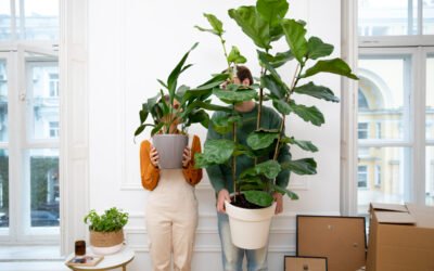 Come traslocare piante e fiori in sicurezza durante un trasloco a Milano