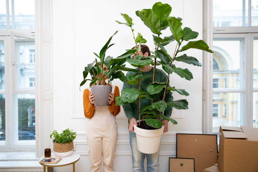 Come traslocare piante e fiori in sicurezza durante un trasloco a Milano